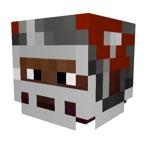 Pags24 Minecraft avatar head, 3D render