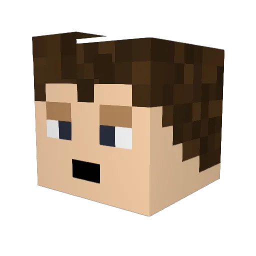 Pahcixam Minecraft avatar head, 3D render
