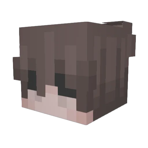 PahuVa Minecraft avatar head, 3D render