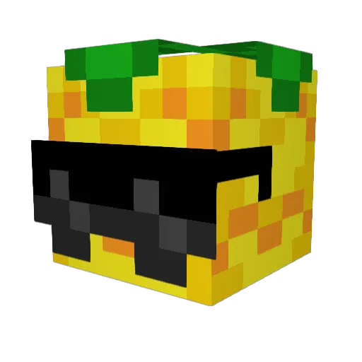 PaidInRations Minecraft avatar head, 3D render
