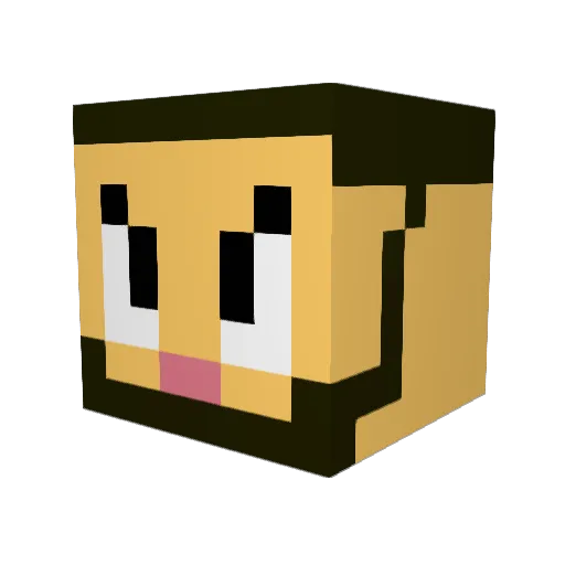 PaidThePrice Minecraft avatar head, 3D render