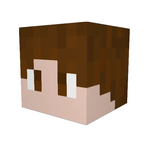 Paifuuu Minecraft avatar head, 3D render