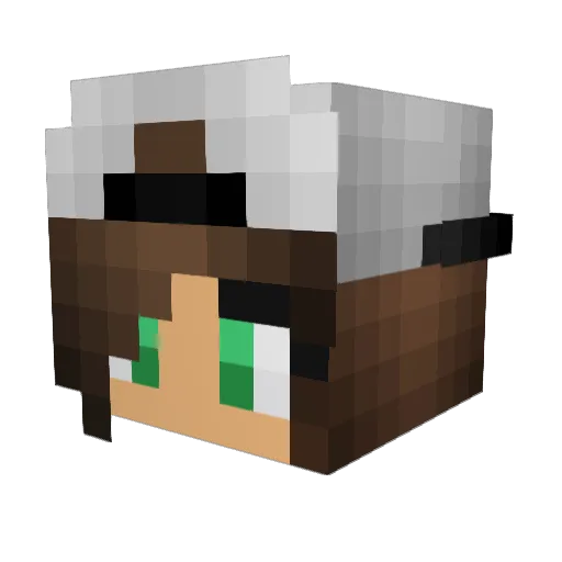 PaigeGallagher Minecraft avatar head, 3D render