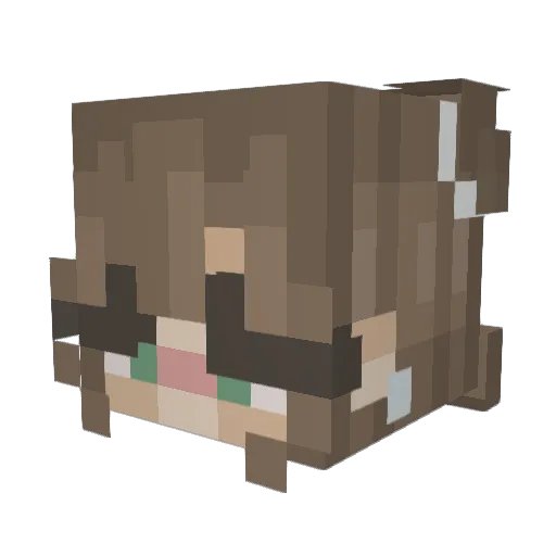 PaigeWARF Minecraft avatar head, 3D render