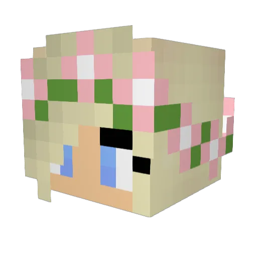Paigee26 Minecraft avatar head, 3D render