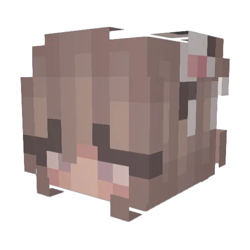 Paigepumpkin Minecraft avatar head, 3D render