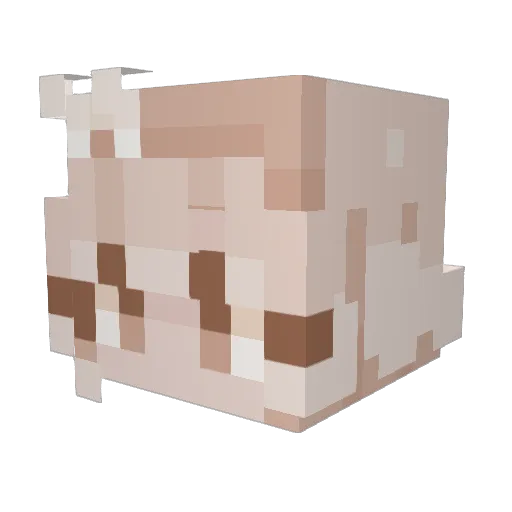 Paigey035 Minecraft avatar head, 3D render