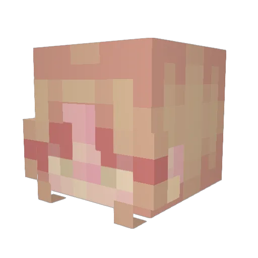 Paigeypoo22 Minecraft avatar head, 3D render