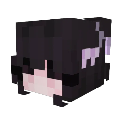 Paigioo Minecraft avatar head, 3D render