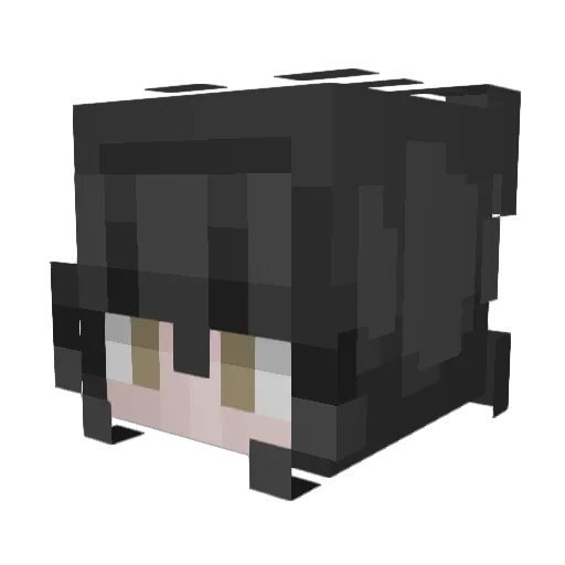 Pailoxis Minecraft avatar head, 3D render
