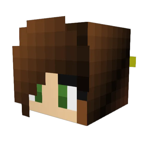 Pain0sama Minecraft avatar head, 3D render