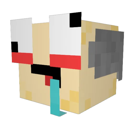 Pain2Mis Minecraft avatar head, 3D render