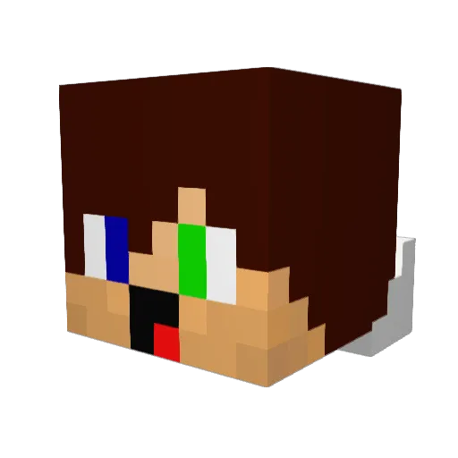 PainGagnant Minecraft avatar head, 3D render
