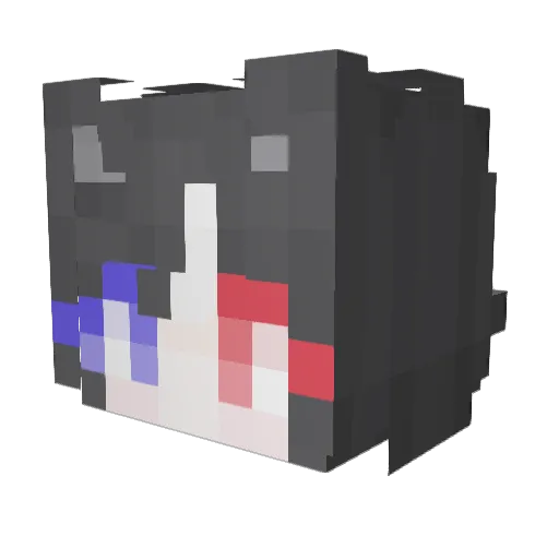 PainLemonTree Minecraft avatar head, 3D render