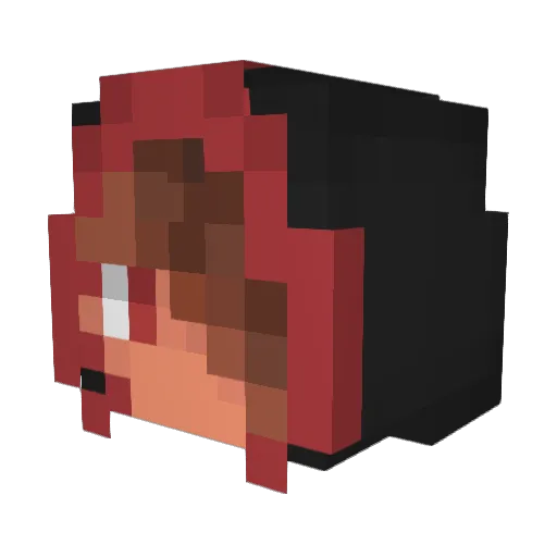 Paindepice54 Minecraft avatar head, 3D render