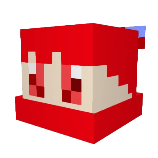 Paine307 Minecraft avatar head, 3D render