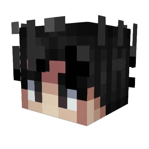 Painedzaper Minecraft avatar head, 3D render