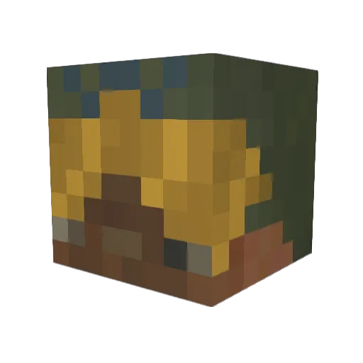Painew Minecraft avatar head, 3D render