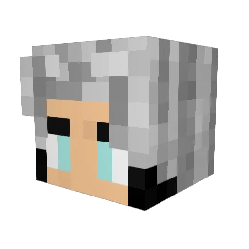 PainfulSteel Minecraft avatar head, 3D render