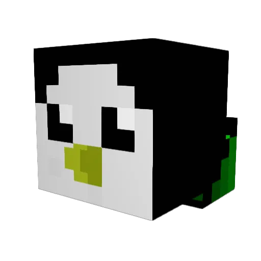 Paingween Minecraft avatar head, 3D render