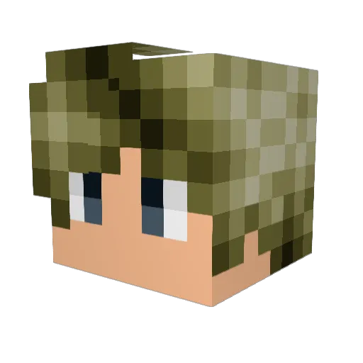Painikk Minecraft avatar head, 3D render