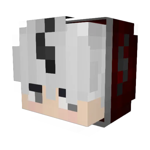 PainlssIsSxicide Minecraft avatar head, 3D render
