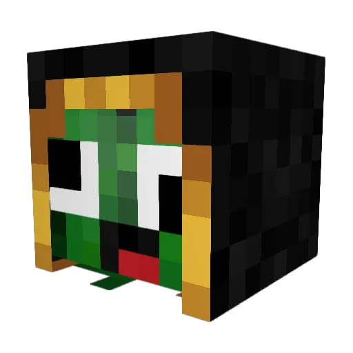 PaintMyAlpaca Minecraft avatar head, 3D render