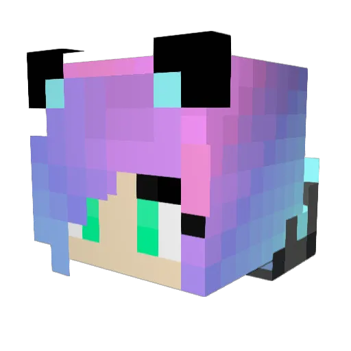 PaintedLady145 Minecraft avatar head, 3D render