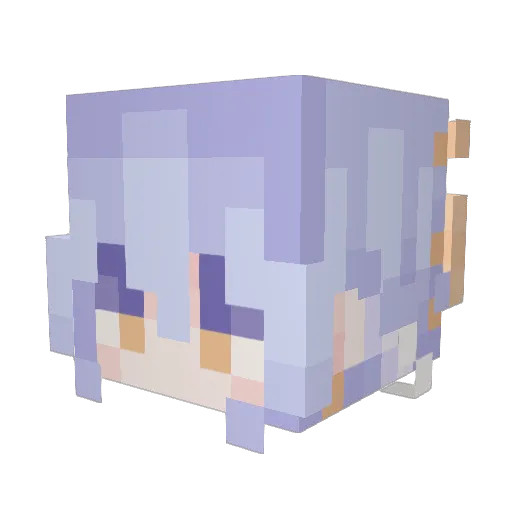 PaintedParrot Minecraft avatar head, 3D render