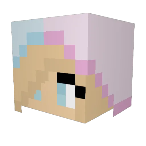 PaintedWolf1234 Minecraft avatar head, 3D render