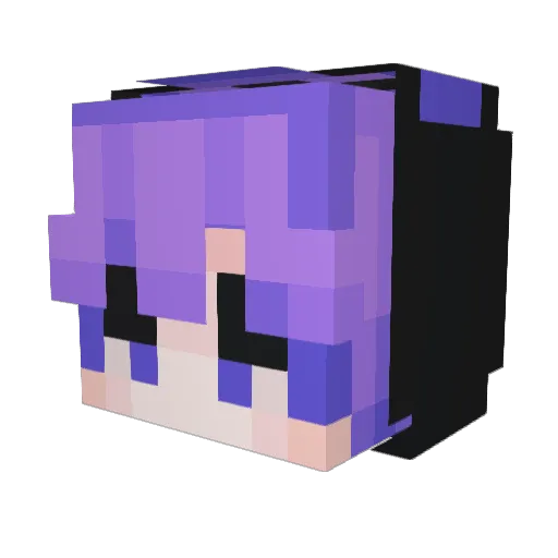 PaintlessWolf Minecraft avatar head, 3D render