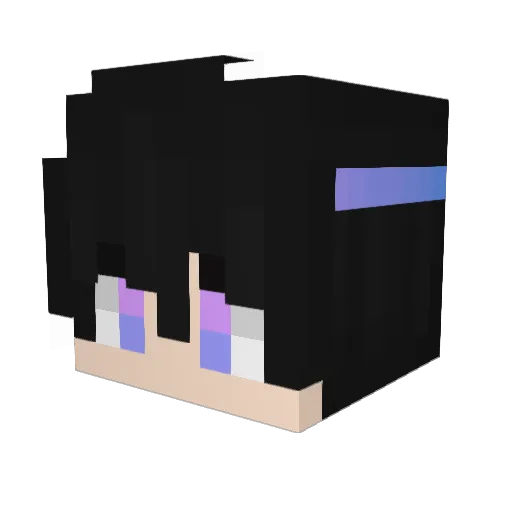 PairPon Minecraft avatar head, 3D render