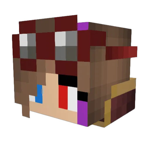 Paisley2862 Minecraft avatar head, 3D render