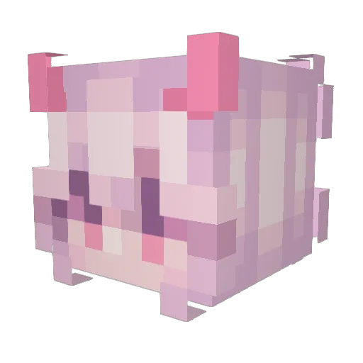 PaisleySquid Minecraft avatar head, 3D render
