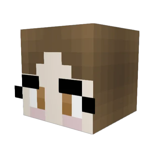 Paisley_1119 Minecraft avatar head, 3D render
