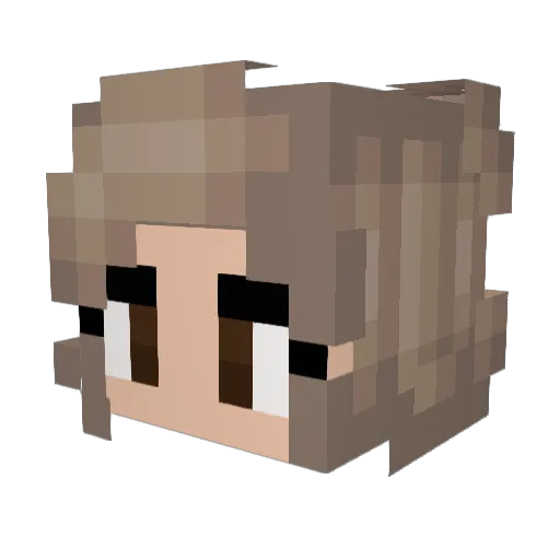 Paisley_shay Minecraft avatar head, 3D render