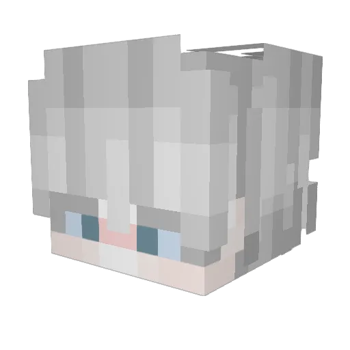 Paisss Minecraft avatar head, 3D render