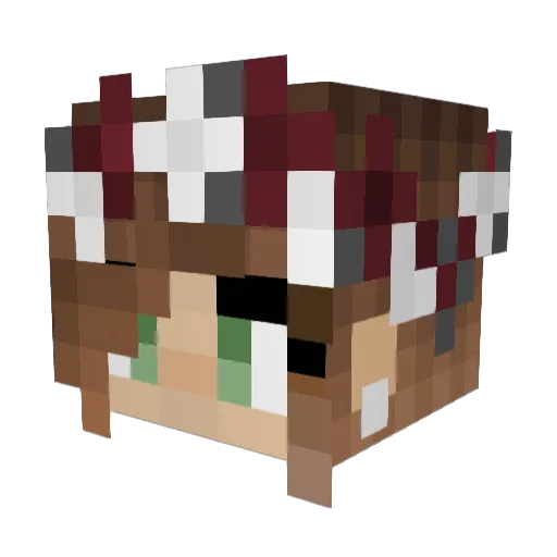 Paityn1010 Minecraft avatar head, 3D render