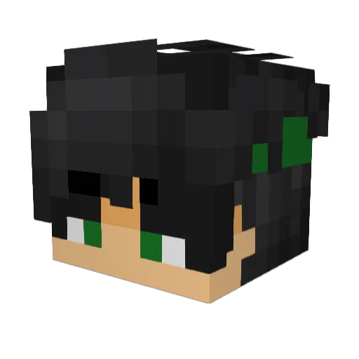 Paixoo Minecraft avatar head, 3D render