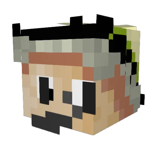 PajaDank Minecraft avatar head, 3D render