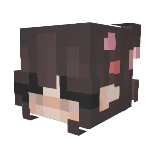 PajkoCZE Minecraft avatar head, 3D render