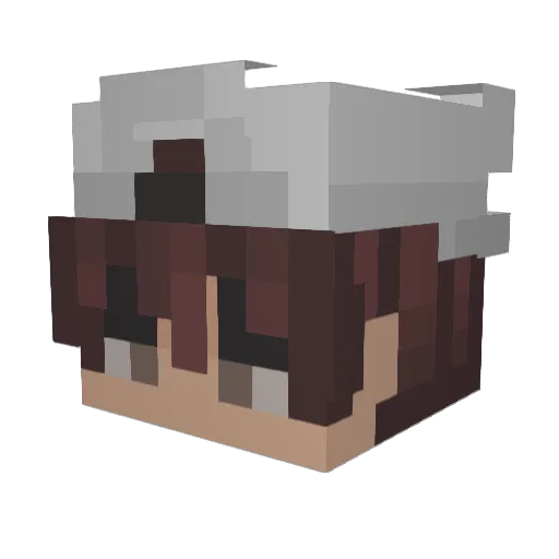 PakCkNHaMN Minecraft avatar head, 3D render