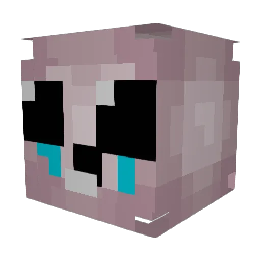 Pakanas Minecraft avatar head, 3D render