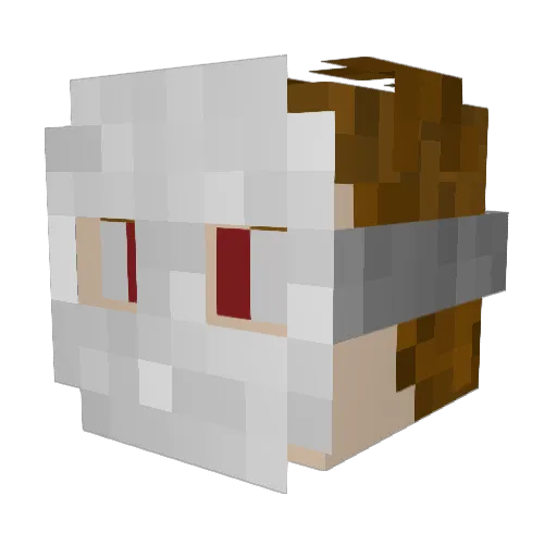 Pakaty Minecraft avatar head, 3D render