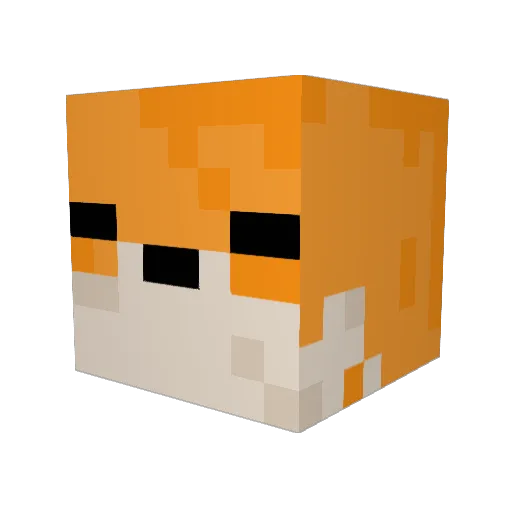 Pakbo Minecraft avatar head, 3D render