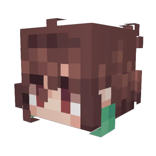 PakerMc1315 Minecraft avatar head, 3D render