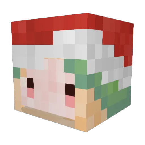 PakiSushi Minecraft avatar head, 3D render