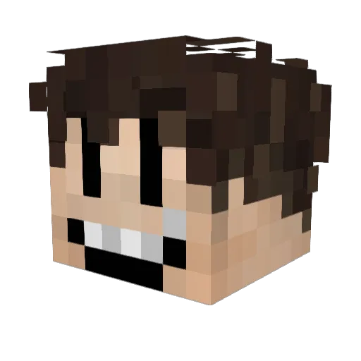 PakistanFacial Minecraft avatar head, 3D render