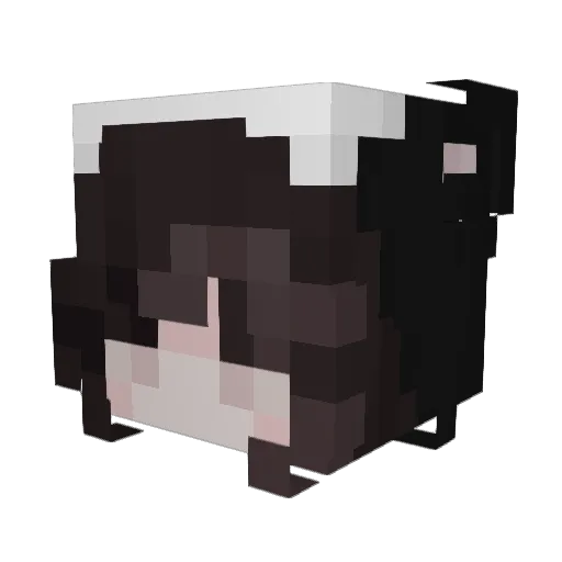 Pakizonda Minecraft avatar head, 3D render