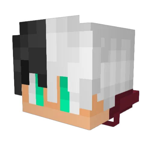 Pakku02 Minecraft avatar head, 3D render